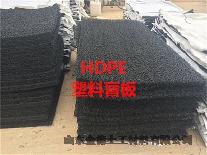 保護土體防沖刷-溝渠襯砌防滲塌塑料土工盲墊3cm厚